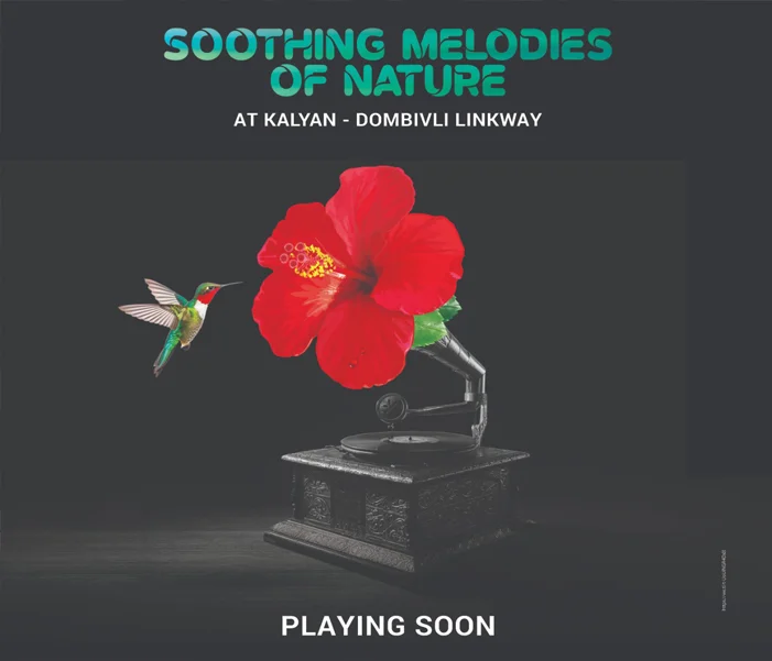 Oyster Kalyan by Saket